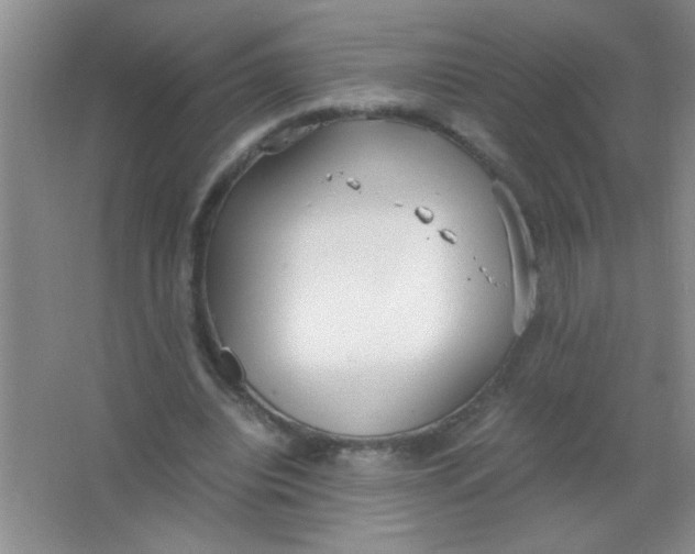 X0000063500440200602101903