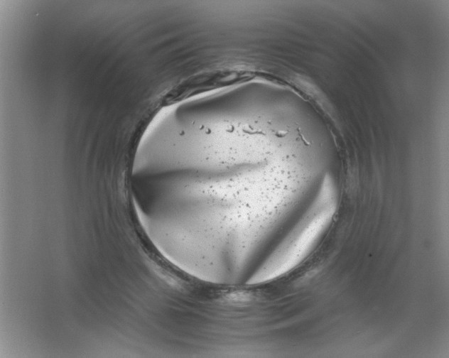 X0000063500441200602101903