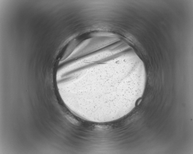 X0000063500442200602101903