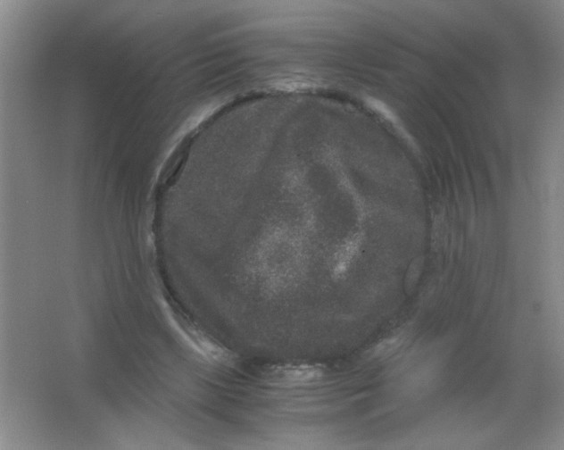 X0000063500443200602101903