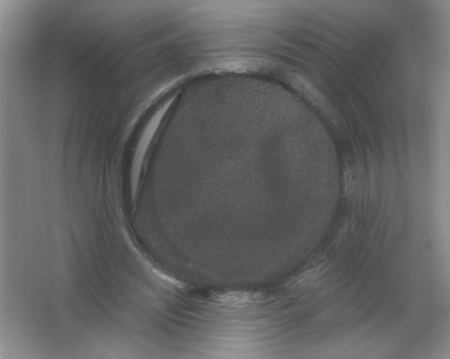 X0000063500444200602101903