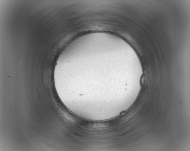 X0000063500445200602101903