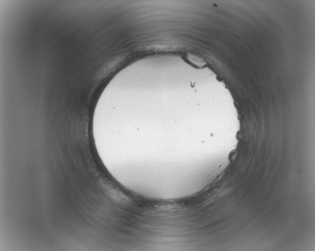 X0000063500446200602101903