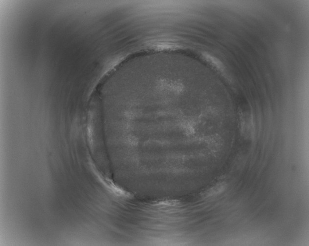 X0000063500447200602101903