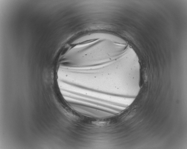 X0000063500448200602101903