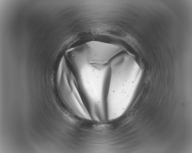 X0000063500452200602101903