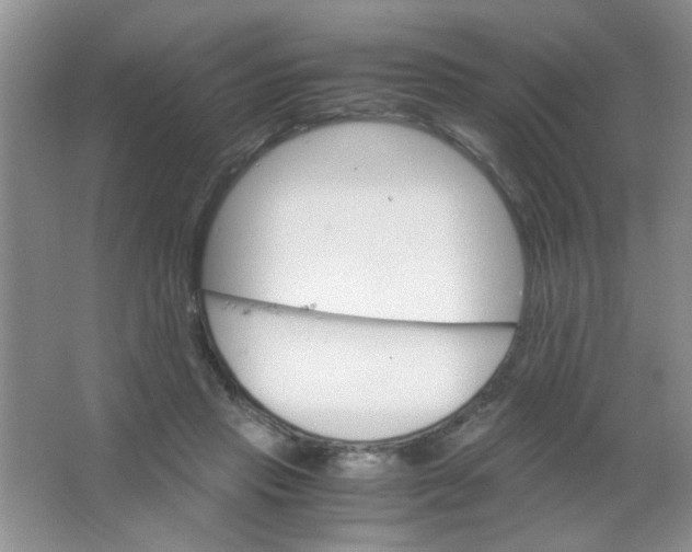 X0000063500453200602101903