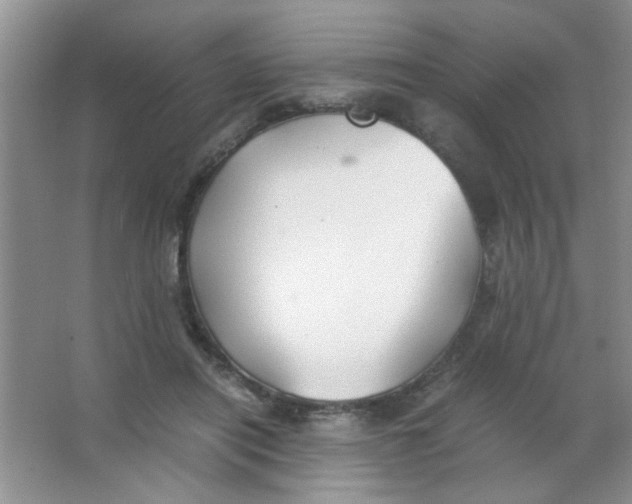 X0000063500454200602101903