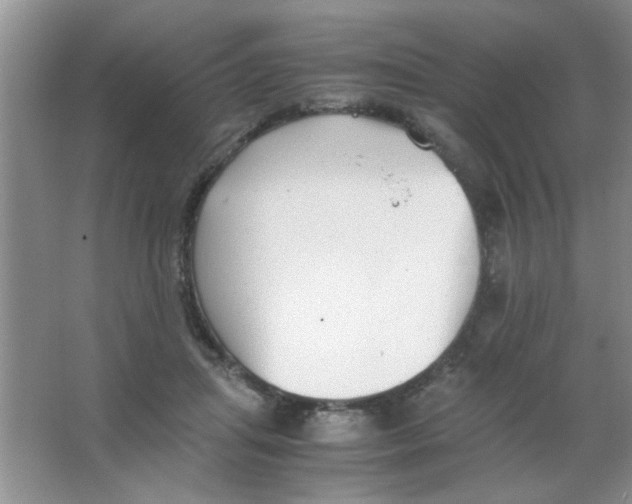 X0000063500455200602101903