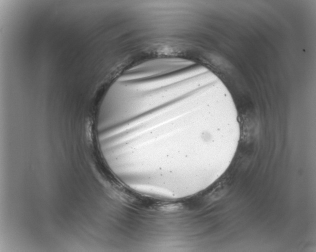 X0000063500456200602101903