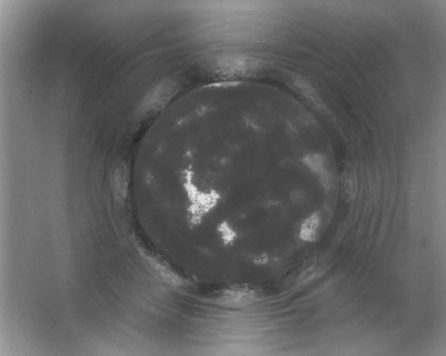 X0000063500458200602101903