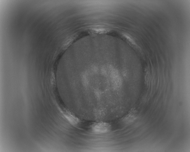 X0000063500459200602101904