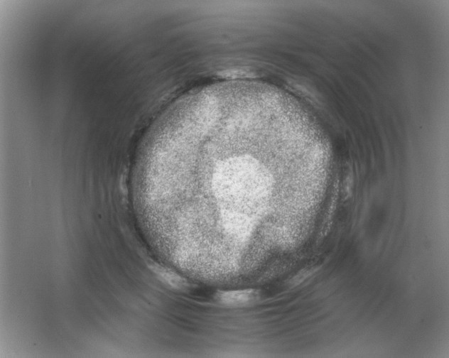 X0000063500461200602101904