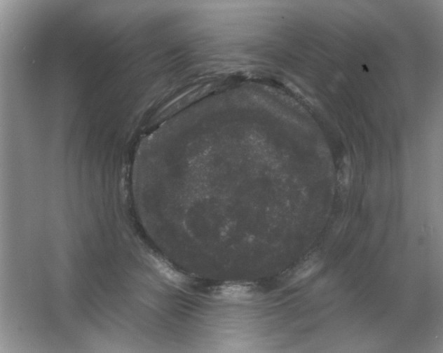 X0000063500462200602101904