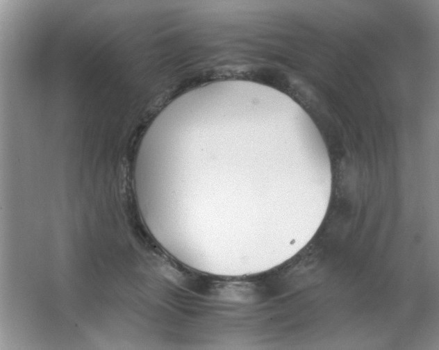 X0000063500463200602101904