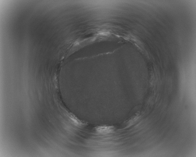 X0000063500465200602101904