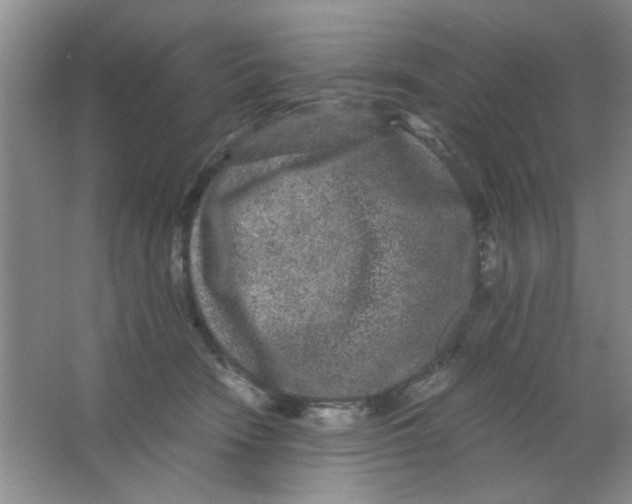 X0000063500466200602101904