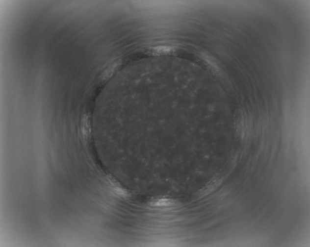 X0000063500467200602101904