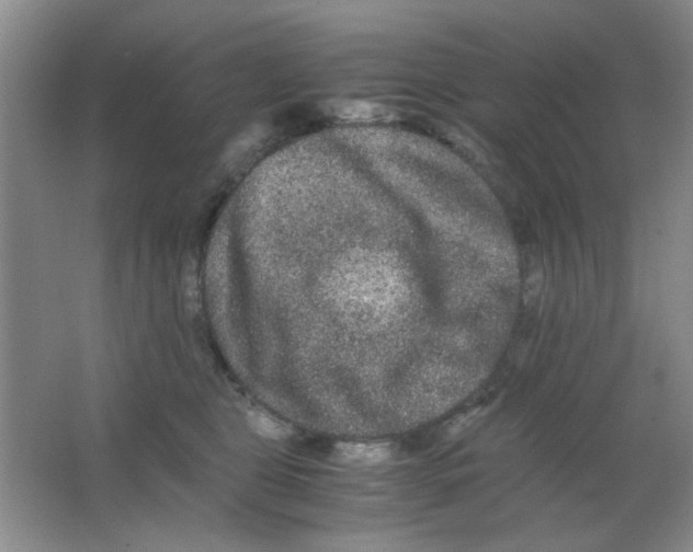 X0000063500469200602101904