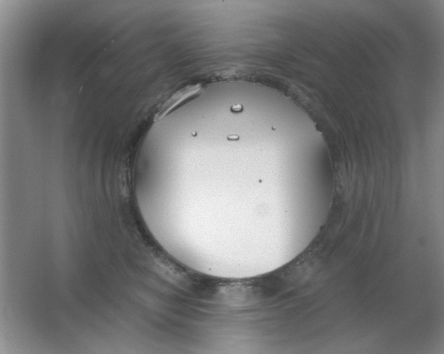 X0000063500470200602101904