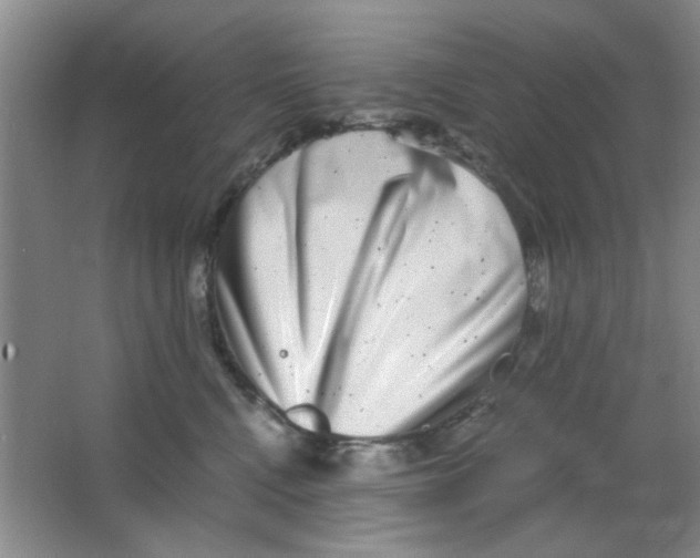 X0000063500472200602101904