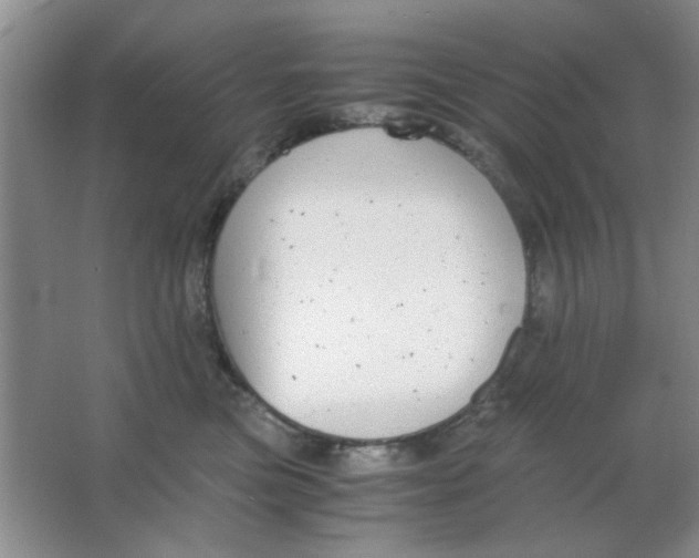 X0000063500473200602101904