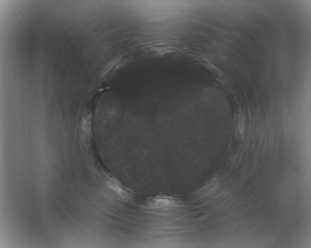 X0000063500475200602101904