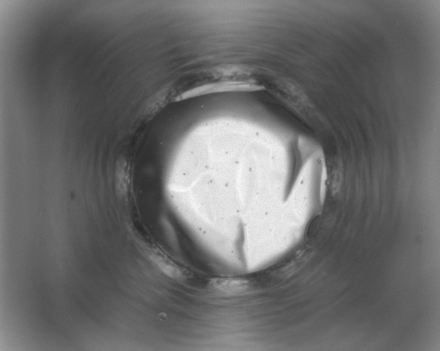 X0000063500476200602101904