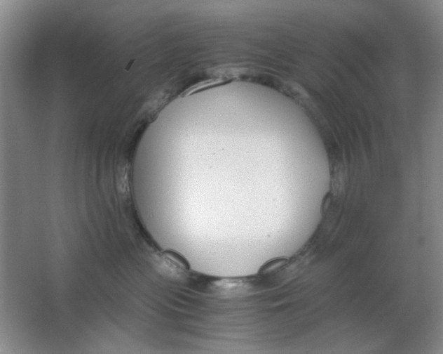 X0000063500477200602101904