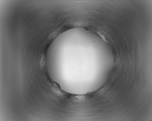 X0000063500478200602101904