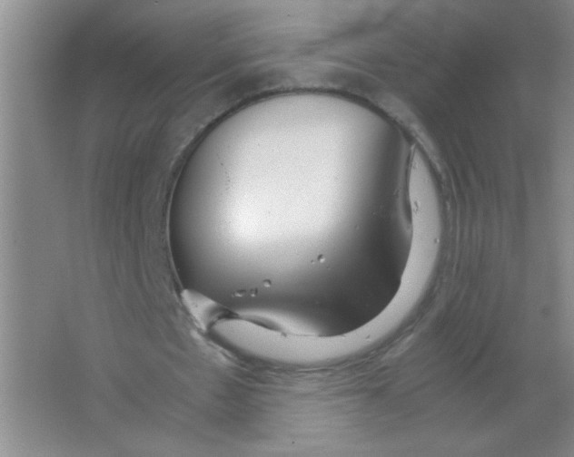 X0000063500481200602101903