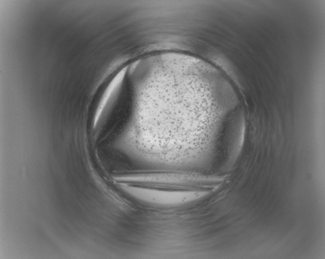 X0000063500482200602101903