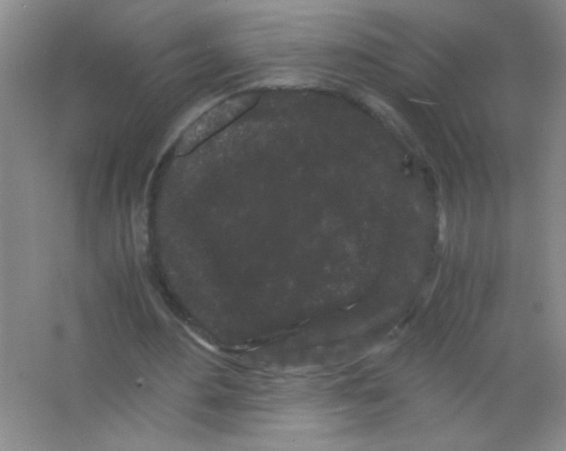 X0000063500484200602101903