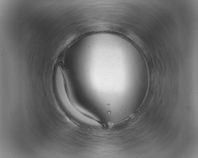 X0000063500485200602101903