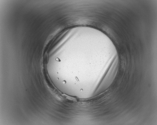 X0000063500486200602101903