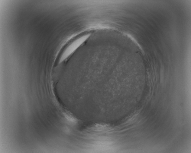 X0000063500487200602101903