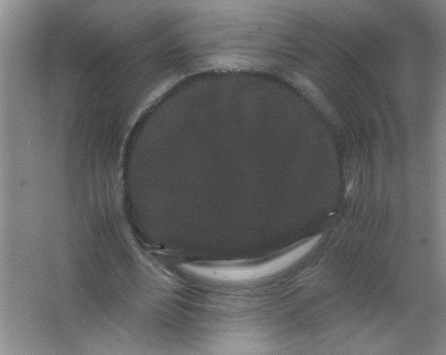 X0000063500488200602101903