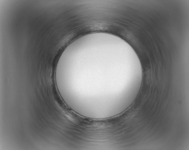 X0000063500490200602101903