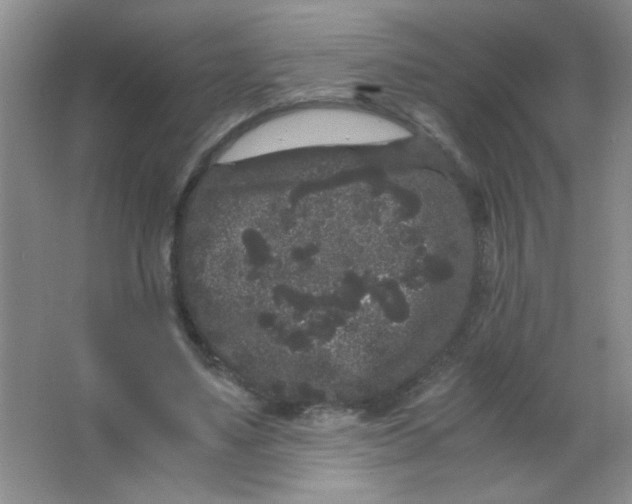 X0000063500491200602101903