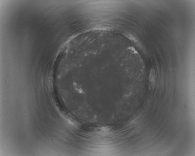 X0000063500492200602101903