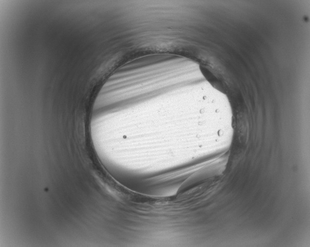 X0000063500493200602101903