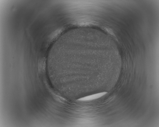 X0000063500495200602101903