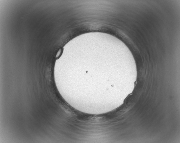 X0000063500497200602101903