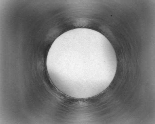 X0000063500498200602101903