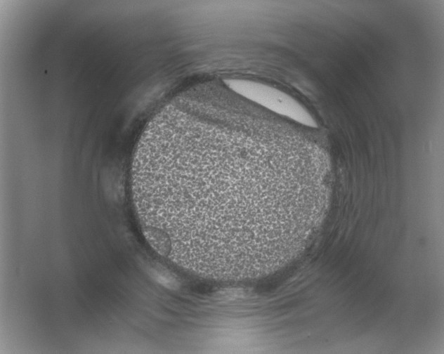 X0000063500499200602101903