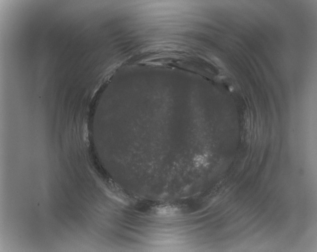 X0000063500500200602101903