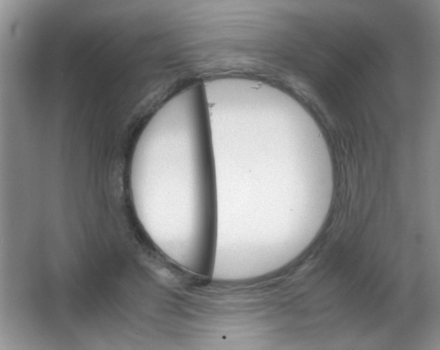 X0000063500501200602101903