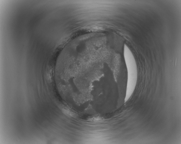 X0000063500503200602101903