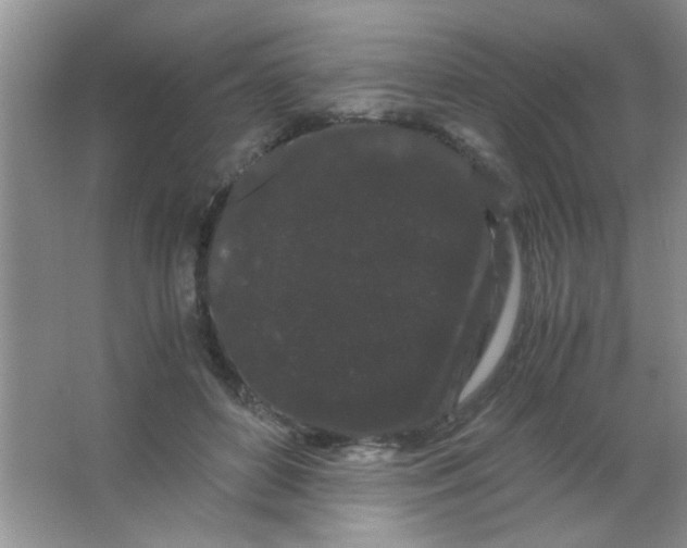 X0000063500504200602101903