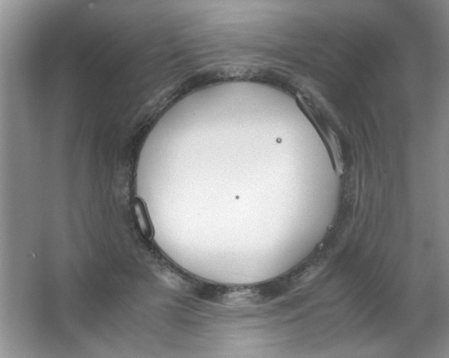 X0000063500505200602101903